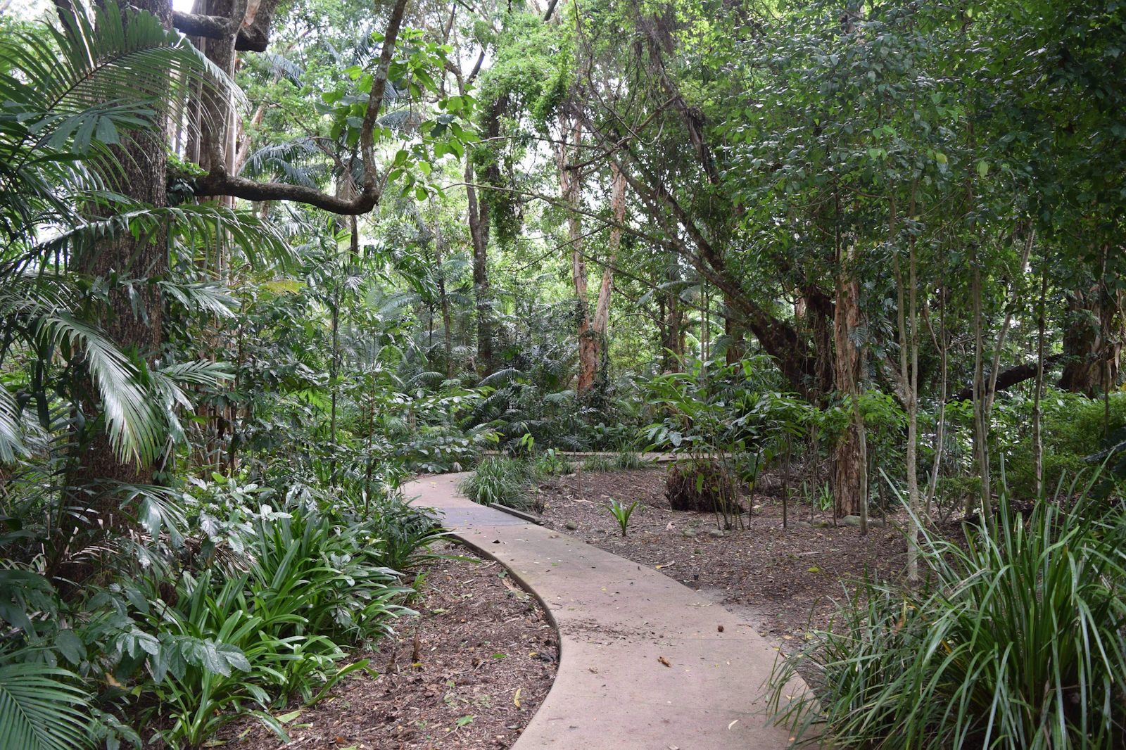 Cairns, Australia photo 28 by Vivian Szeto