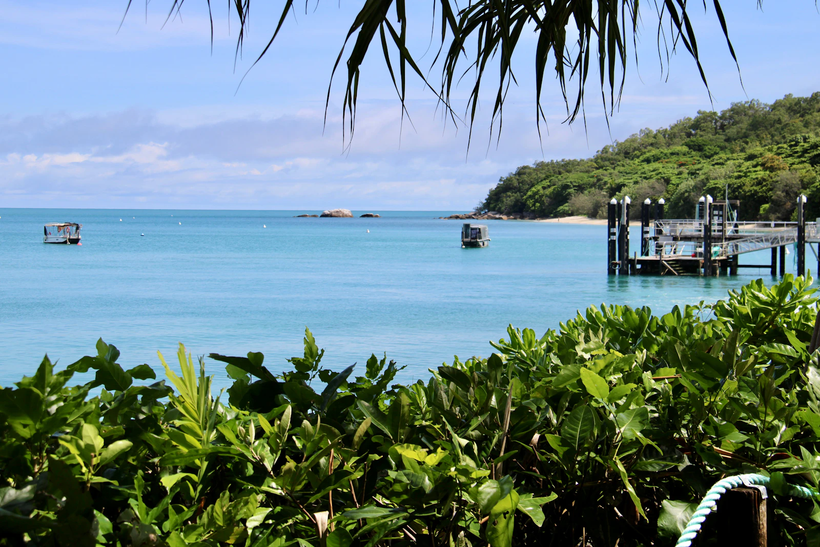 Cairns, Australia photo 10 by Balaraju Malla