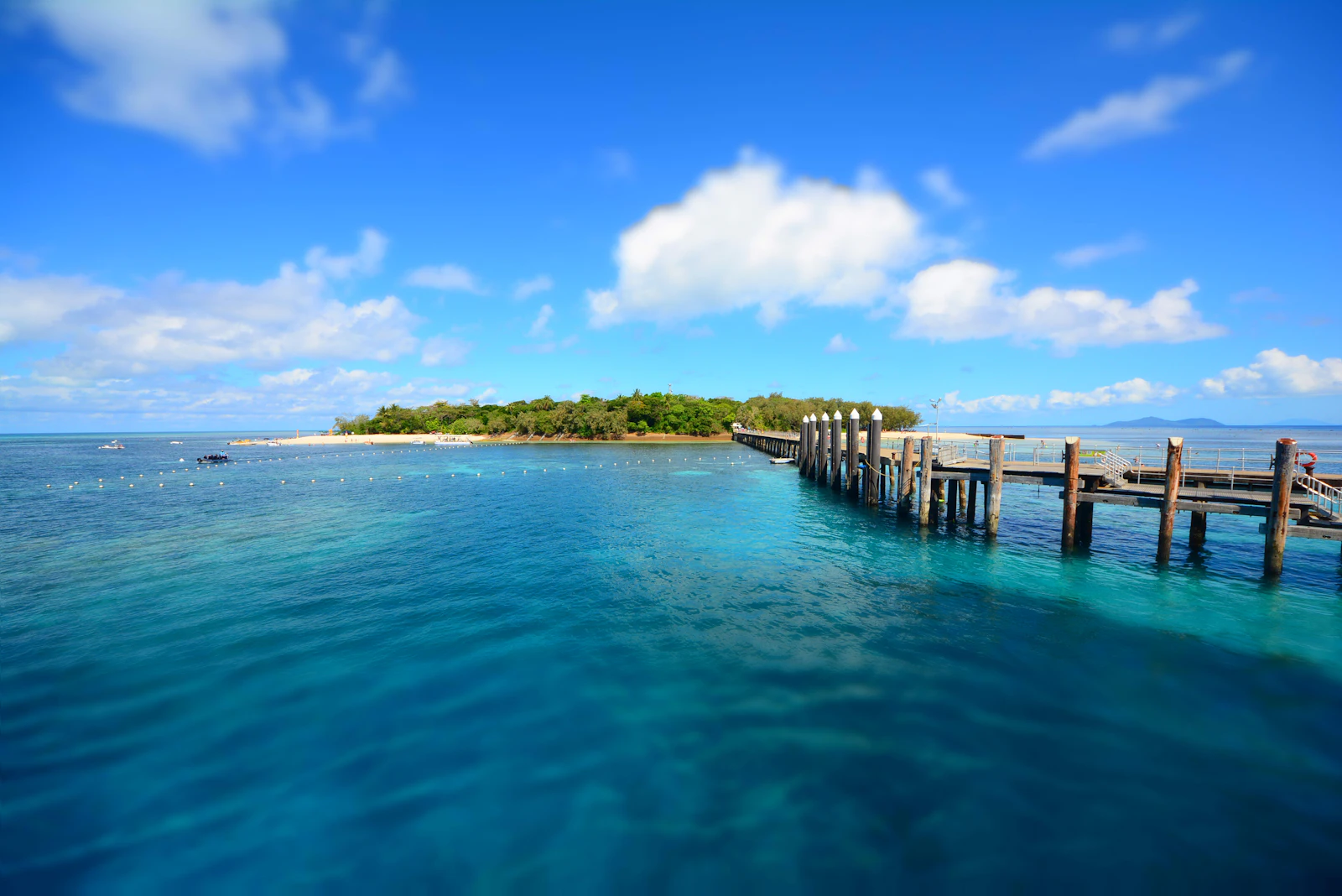 Cairns, Australia photo 6 by Jodi Nelson