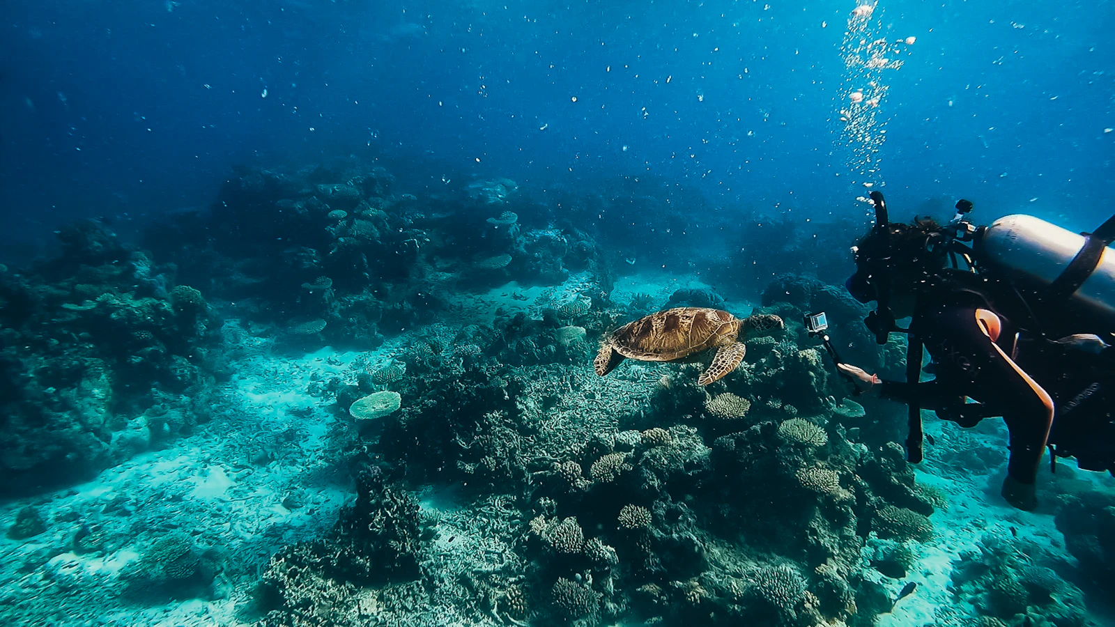 Cairns, Australia photo 3 by Jessie Marie Sorenson