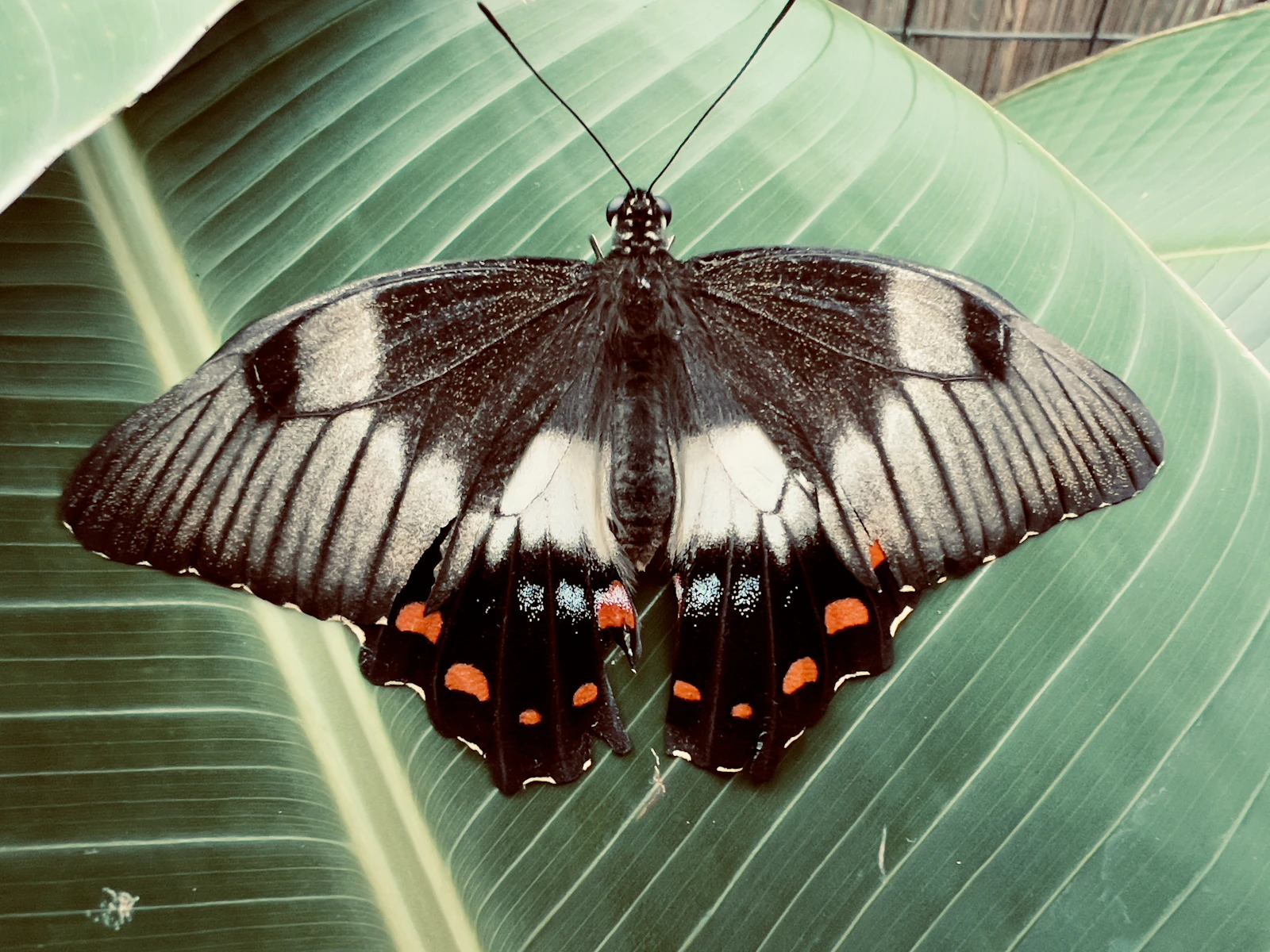 Cairns, Australia photo 17 by Craig Madden