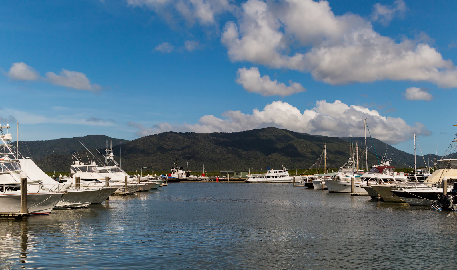 Cairns, Australia photo 9 by Slava Abramovitch