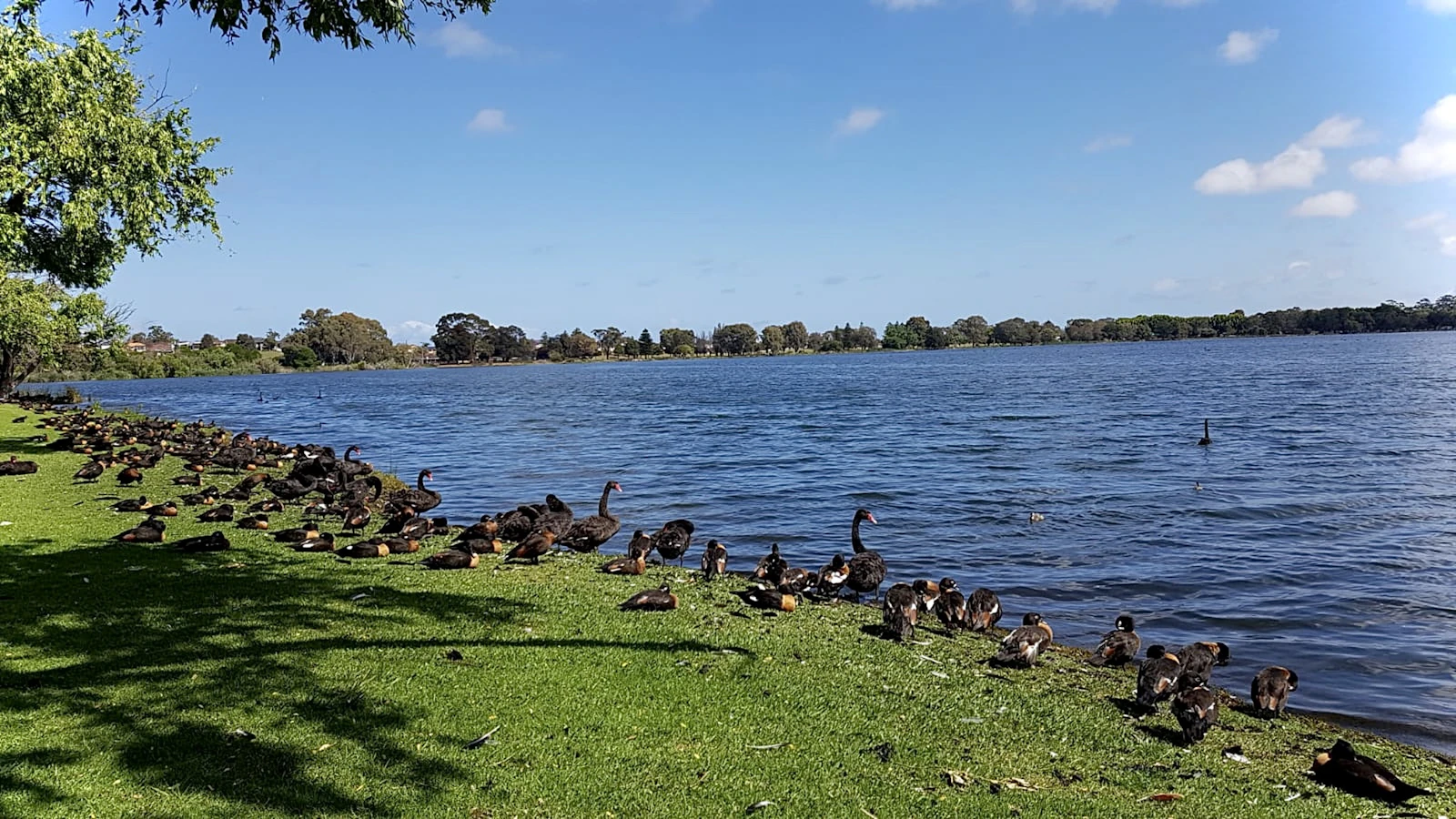 Perth, Australia photo 29 by Ever Omar Laura Perez