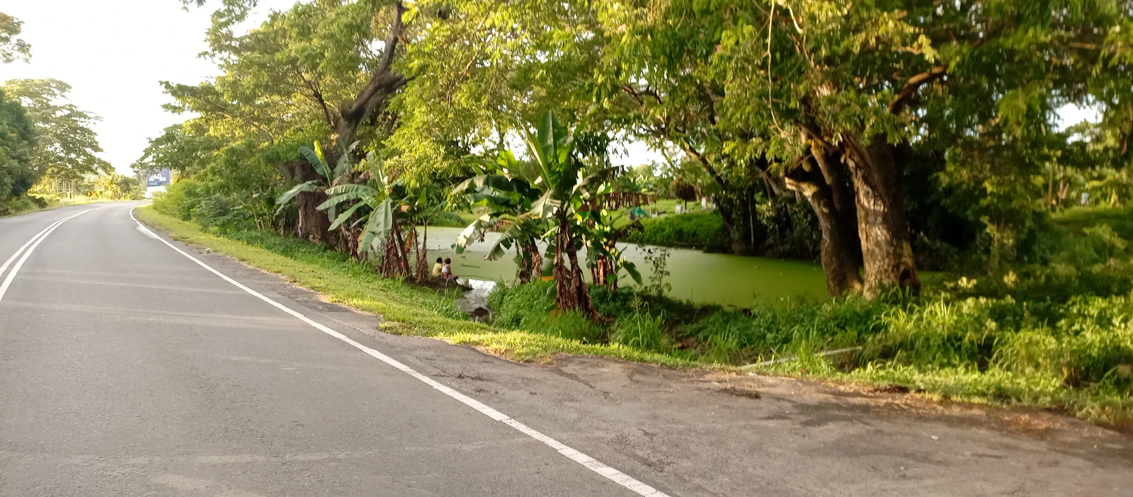 Nadi, Fiji photo 18 by Bumble Bee