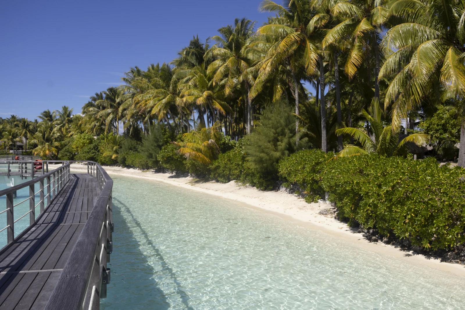 Bora Bora, French Polynesia photo 10 by Meg von Haartman