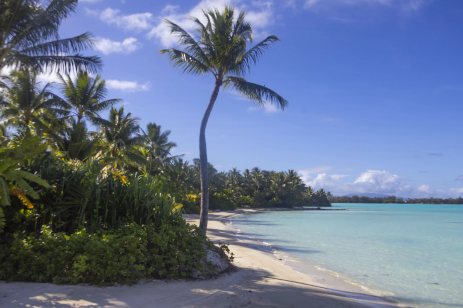 Bora Bora, French Polynesia photo 22 by Meg von Haartman