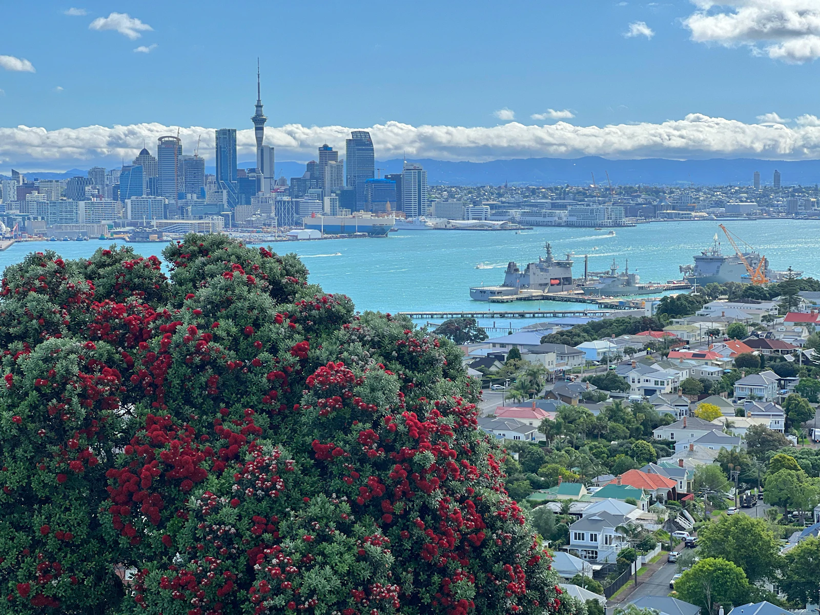 Auckland, New Zealand photo 20 by Eddie TSE