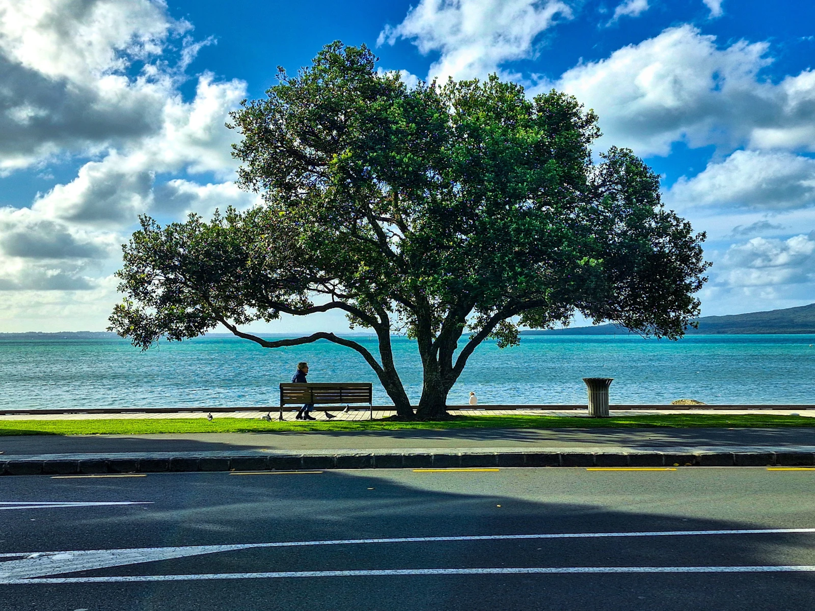 Auckland, New Zealand photo 19 by Vihan Dalal