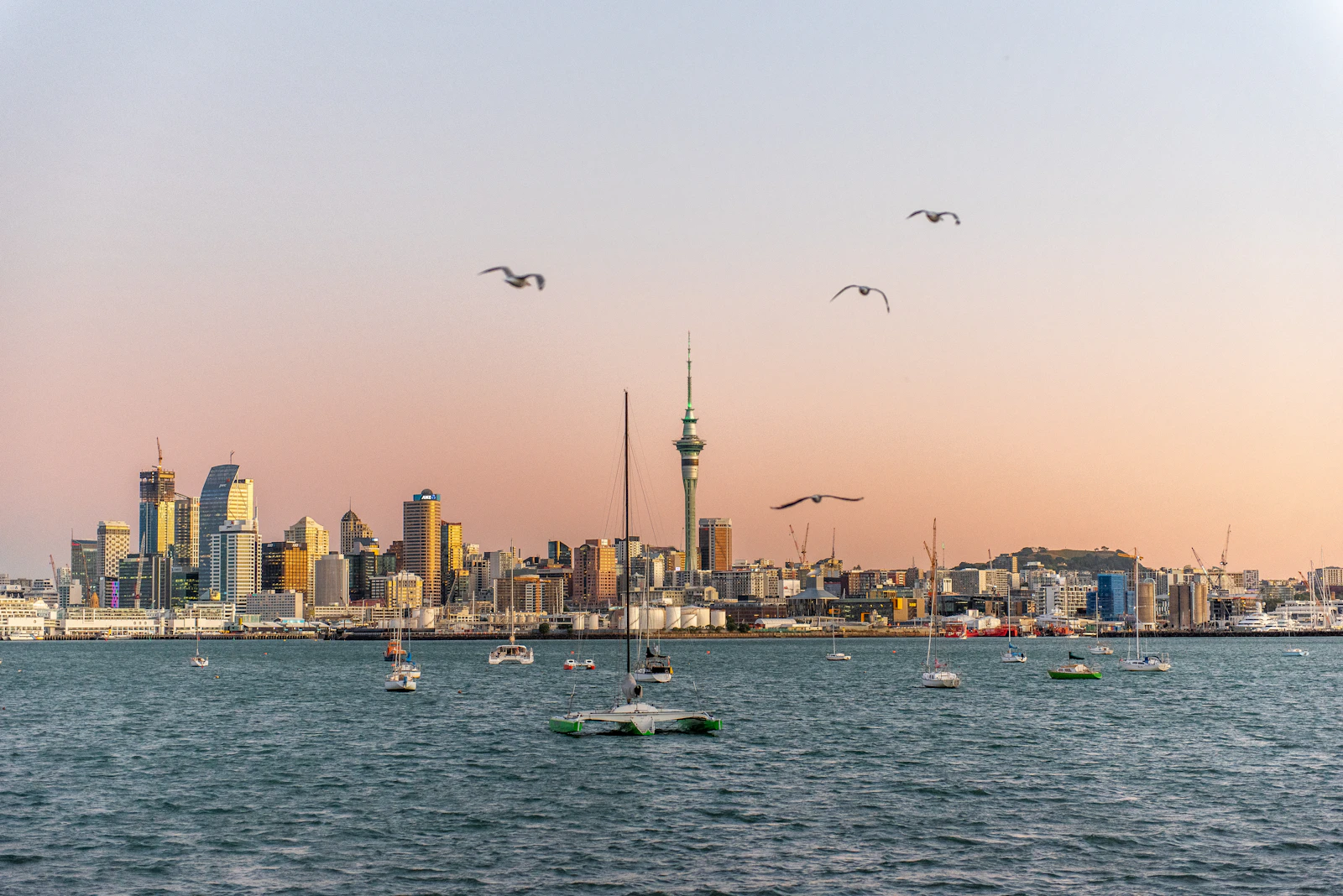 Auckland, New Zealand photo 16 by Kelsi Millar