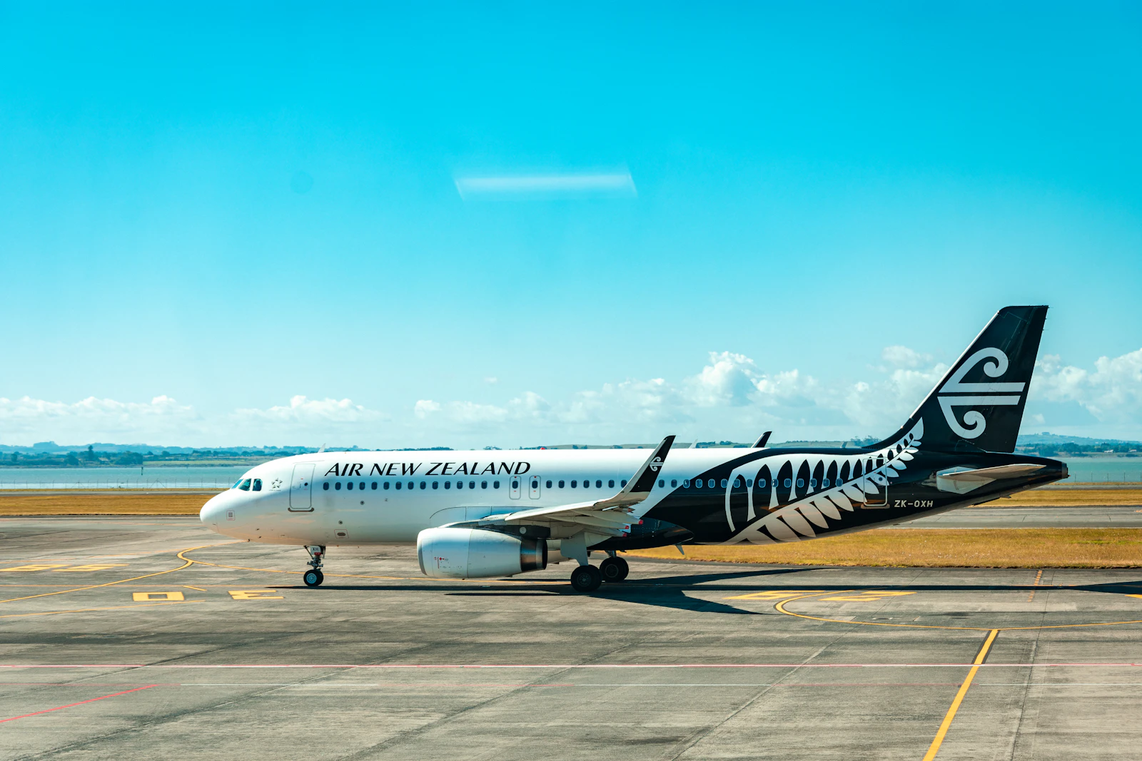 Auckland, New Zealand photo 22 by Sébastien Goldberg