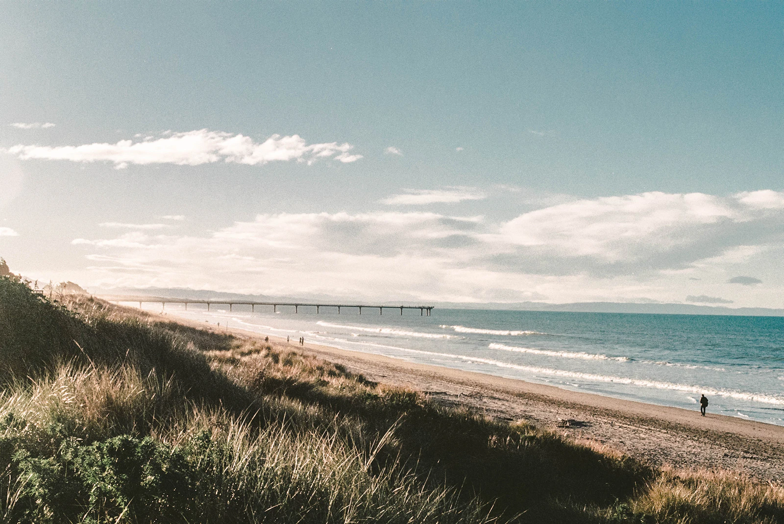 Christchurch, New Zealand photo 13 by Claire Kelly