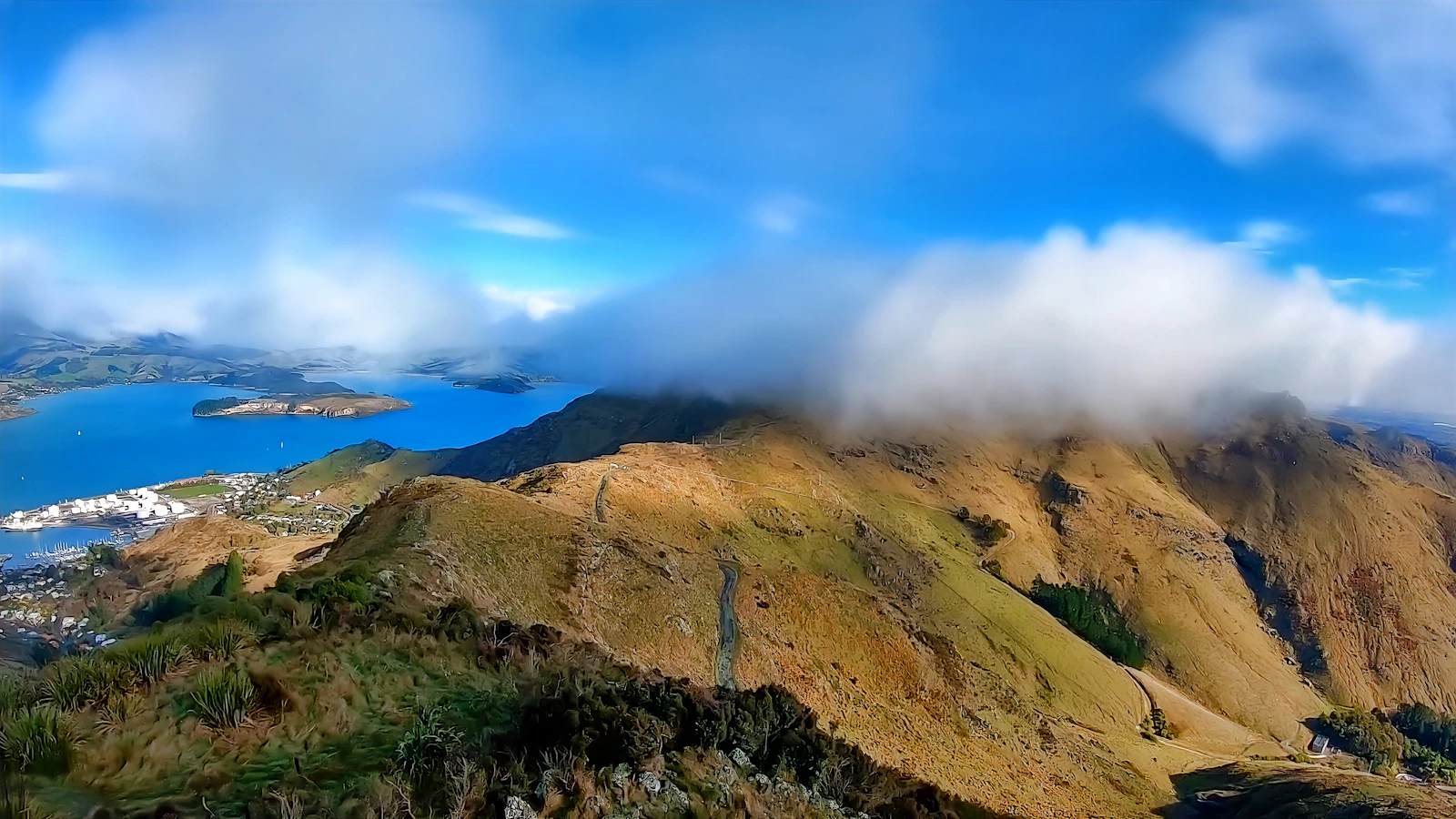 Christchurch, New Zealand photo 25 by Puru Shirodkar