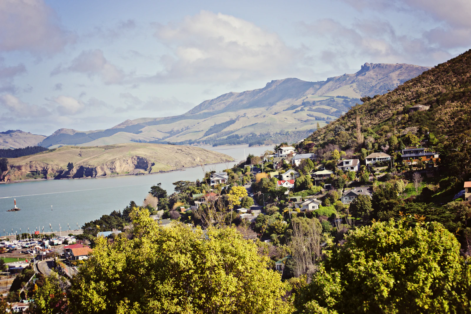 Christchurch, New Zealand photo 8 by Karissa Best