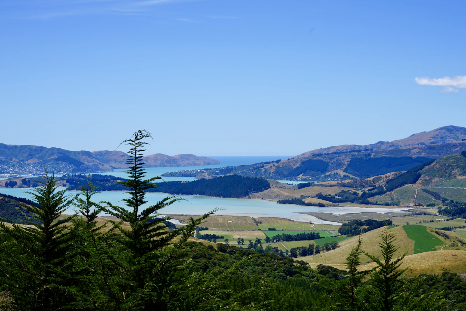 Christchurch, New Zealand photo 11 by Phill Brown