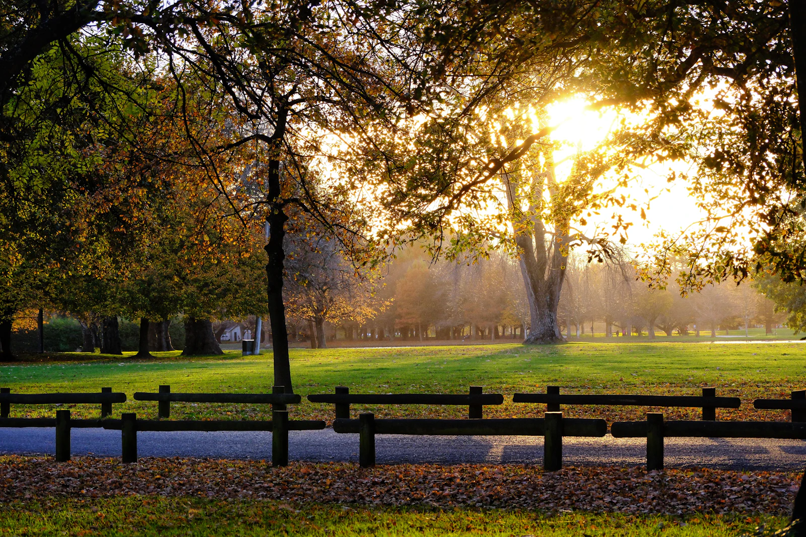 Christchurch, New Zealand photo 15 by Luca Peng