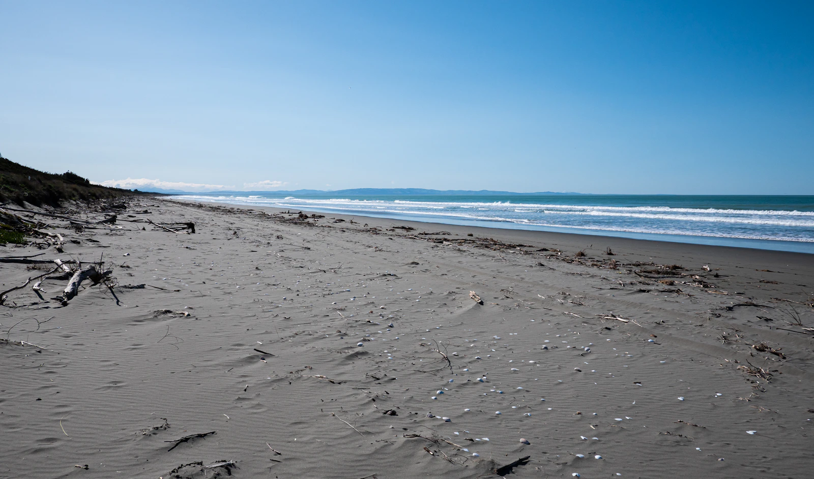 Christchurch, New Zealand photo 30 by Tonia Kraakman