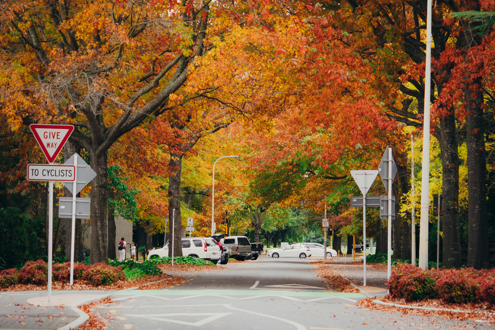 Christchurch, New Zealand photo 19 by Rei Nguyen