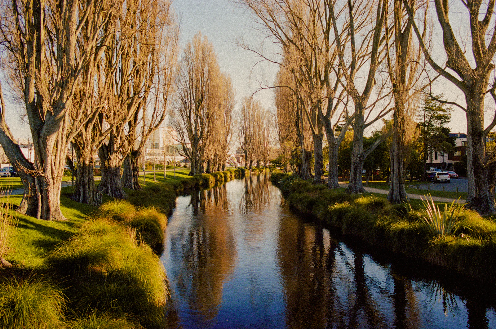 Christchurch, New Zealand photo 6 by Kishan Modi