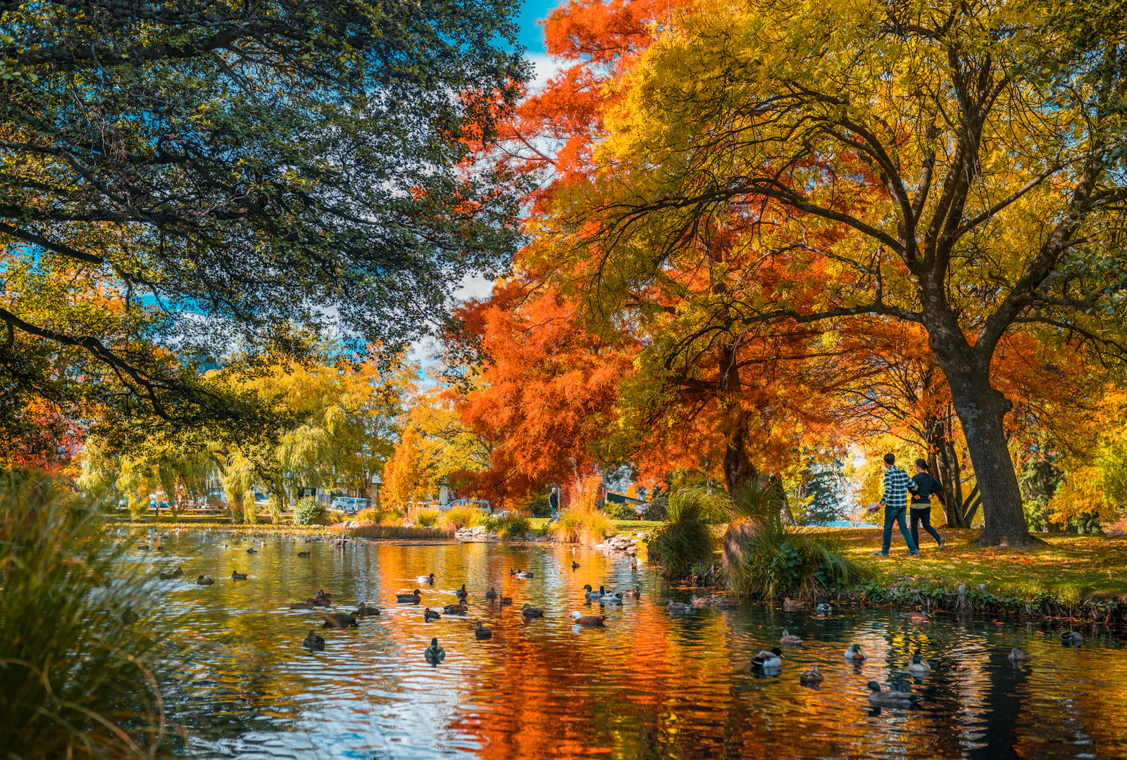 Queenstown, New Zealand photo 7 by Joel Staveley