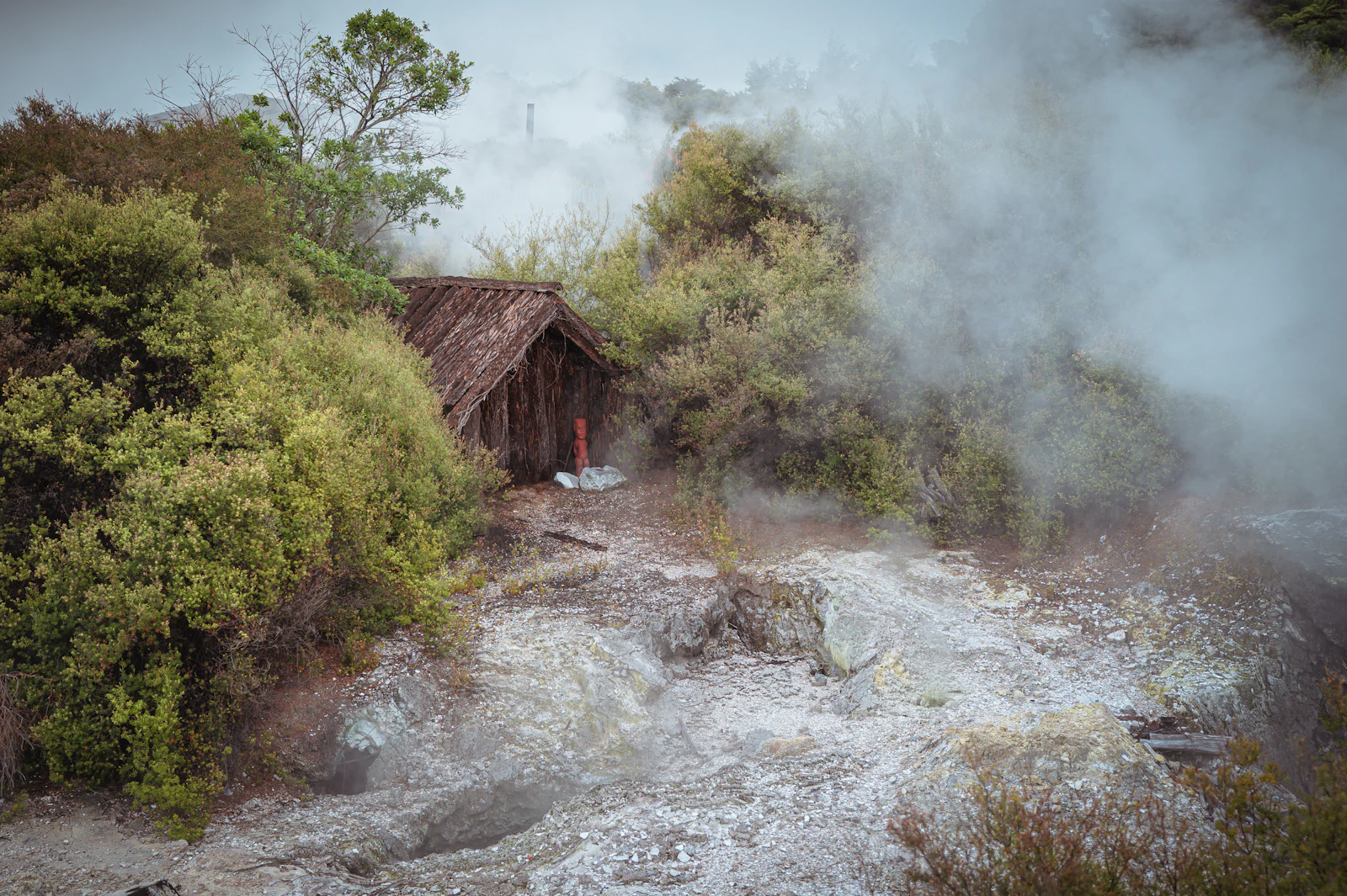 Rotorua, New Zealand photo 24 by Sung Jin Cho