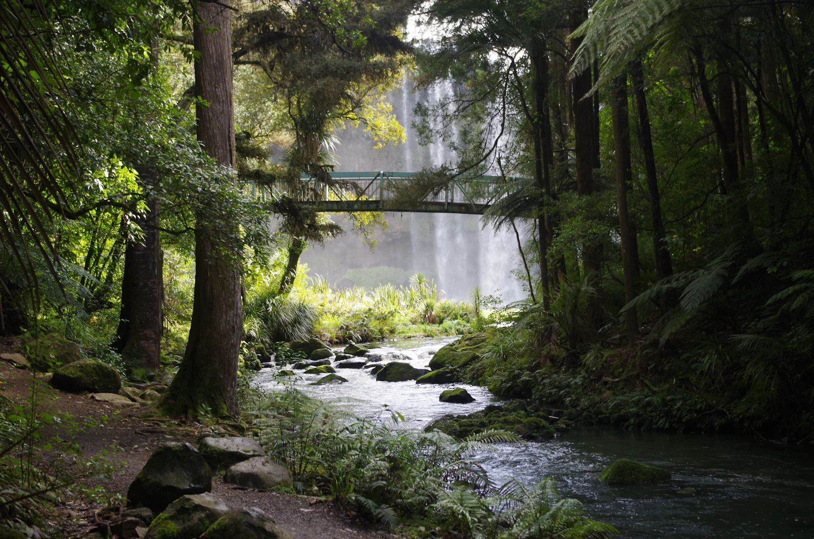 Rotorua, New Zealand photo 7 by Davide Dalfovo