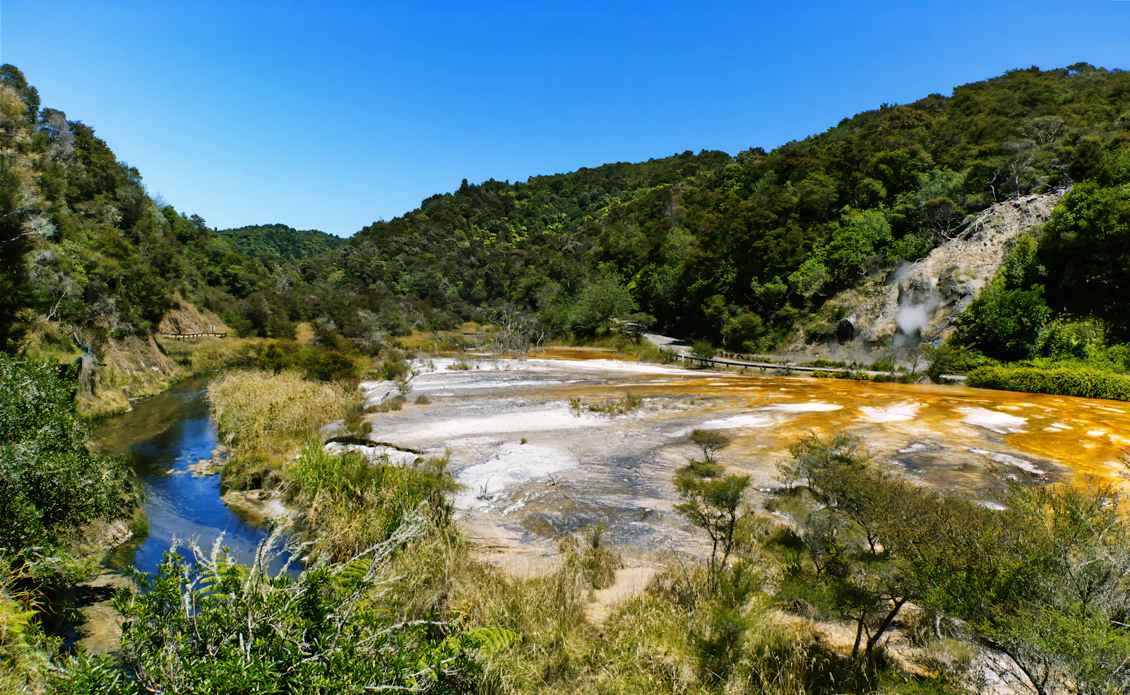 Rotorua, New Zealand photo 20 by Simon Hurry