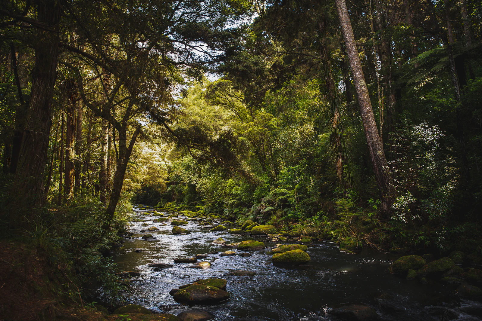 Rotorua, New Zealand photo 4 by Casey Horner