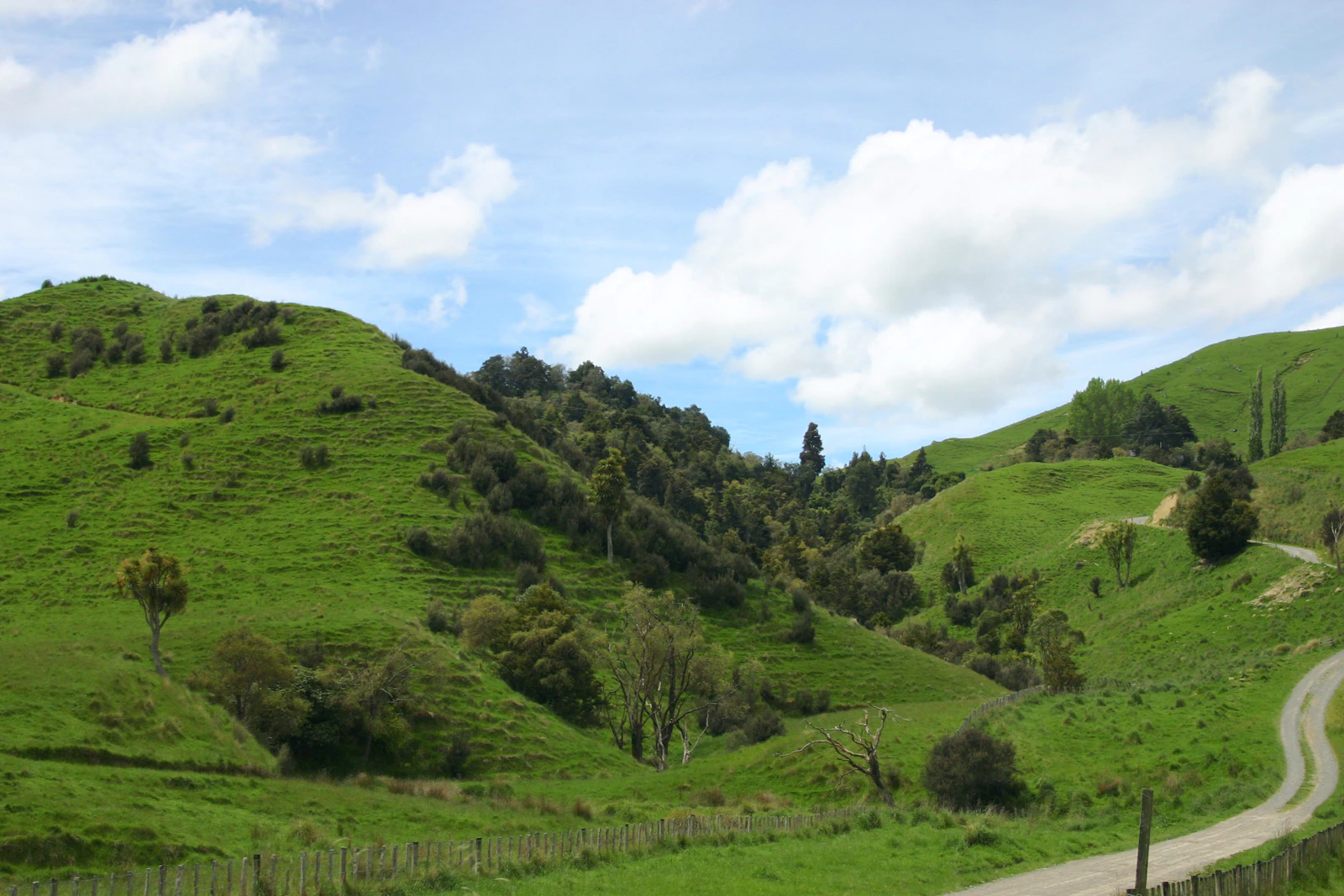 Rotorua, New Zealand photo 27 by James Lee