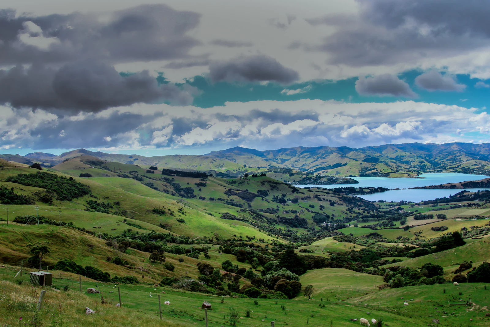 Rotorua, New Zealand photo 28 by NADIA LEVENETS