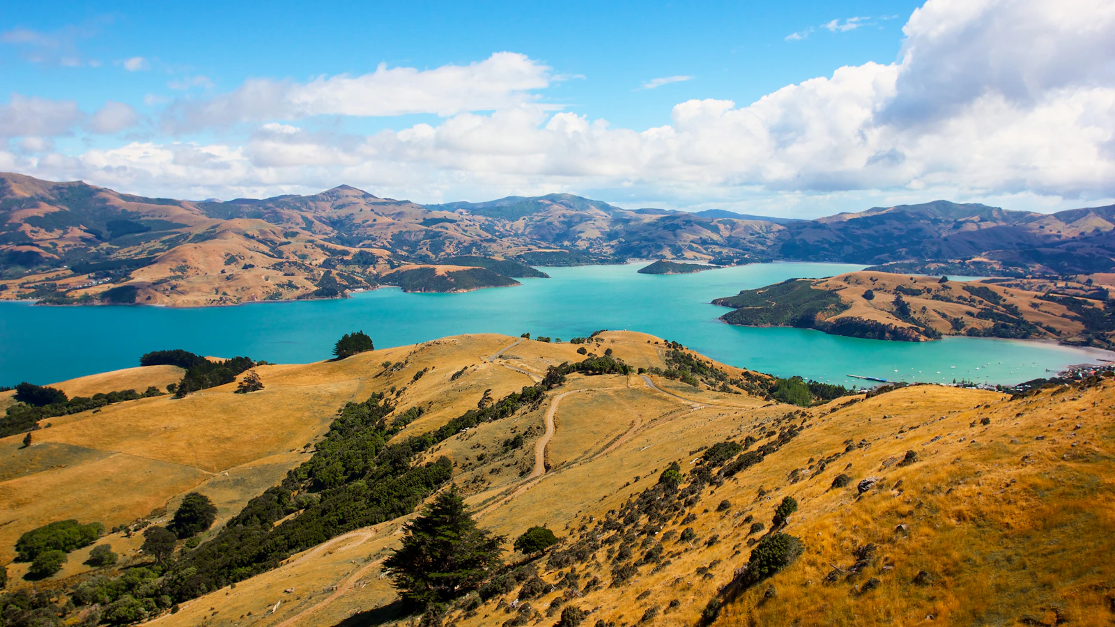 Wanaka, New Zealand photo 10 by Benjamin Kraus