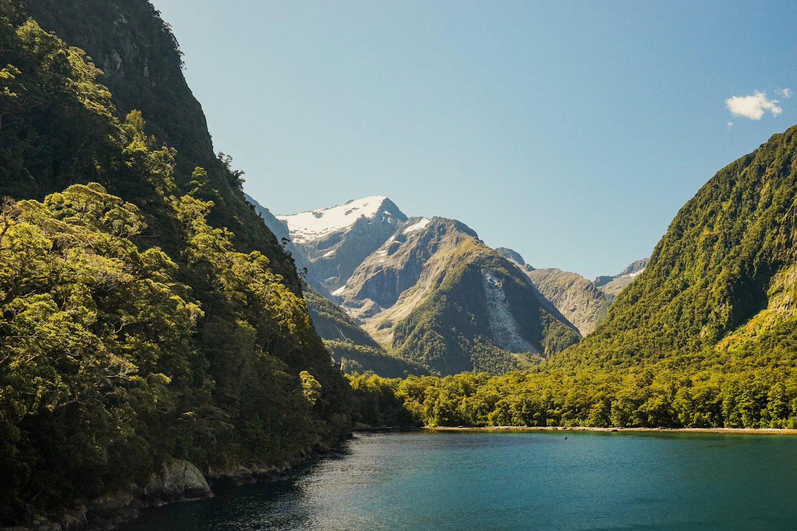 Wanaka, New Zealand photo 17 by Sandro Scalco