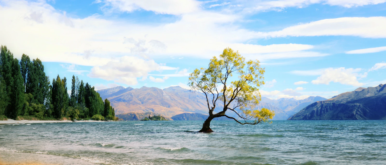 Wanaka, New Zealand photo 23 by Wenhao Ji
