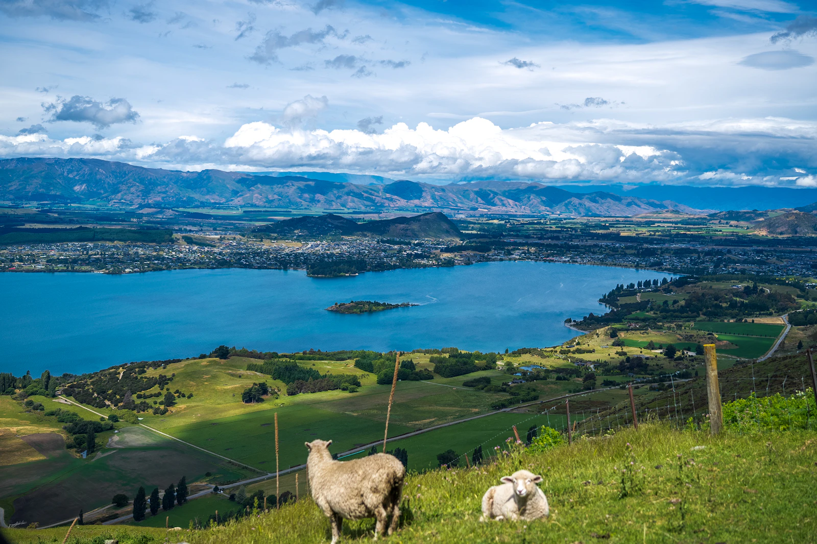 Wanaka, New Zealand photo 13 by JinHui CHEN