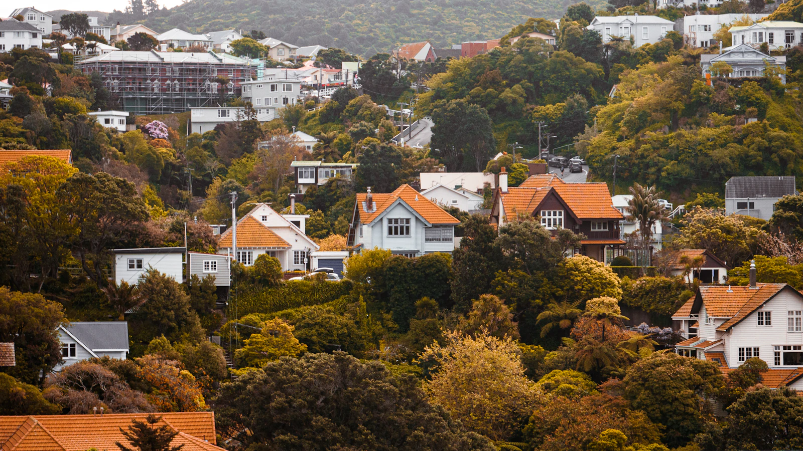 Wellington, New Zealand photo 26 by aless Con