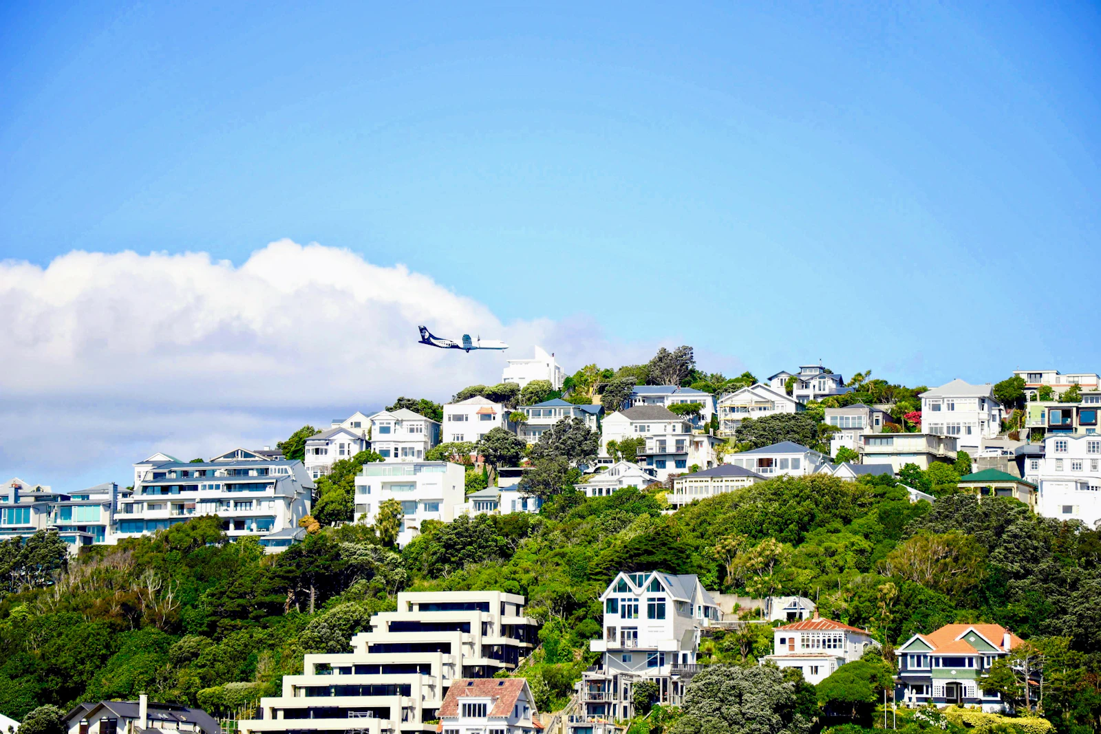 Wellington, New Zealand photo 14 by Abel van Bruchem