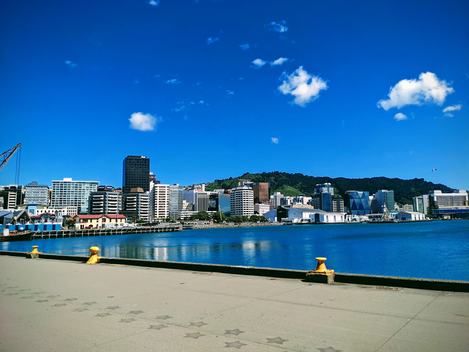 Wellington, New Zealand photo 10 by Jannes Mingram