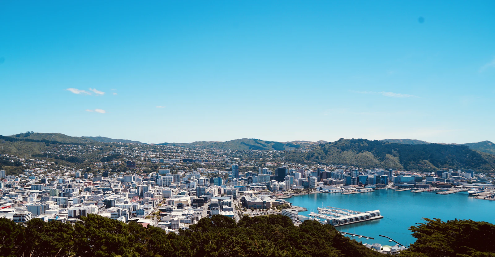 Wellington, New Zealand photo 9 by Yulin Wang