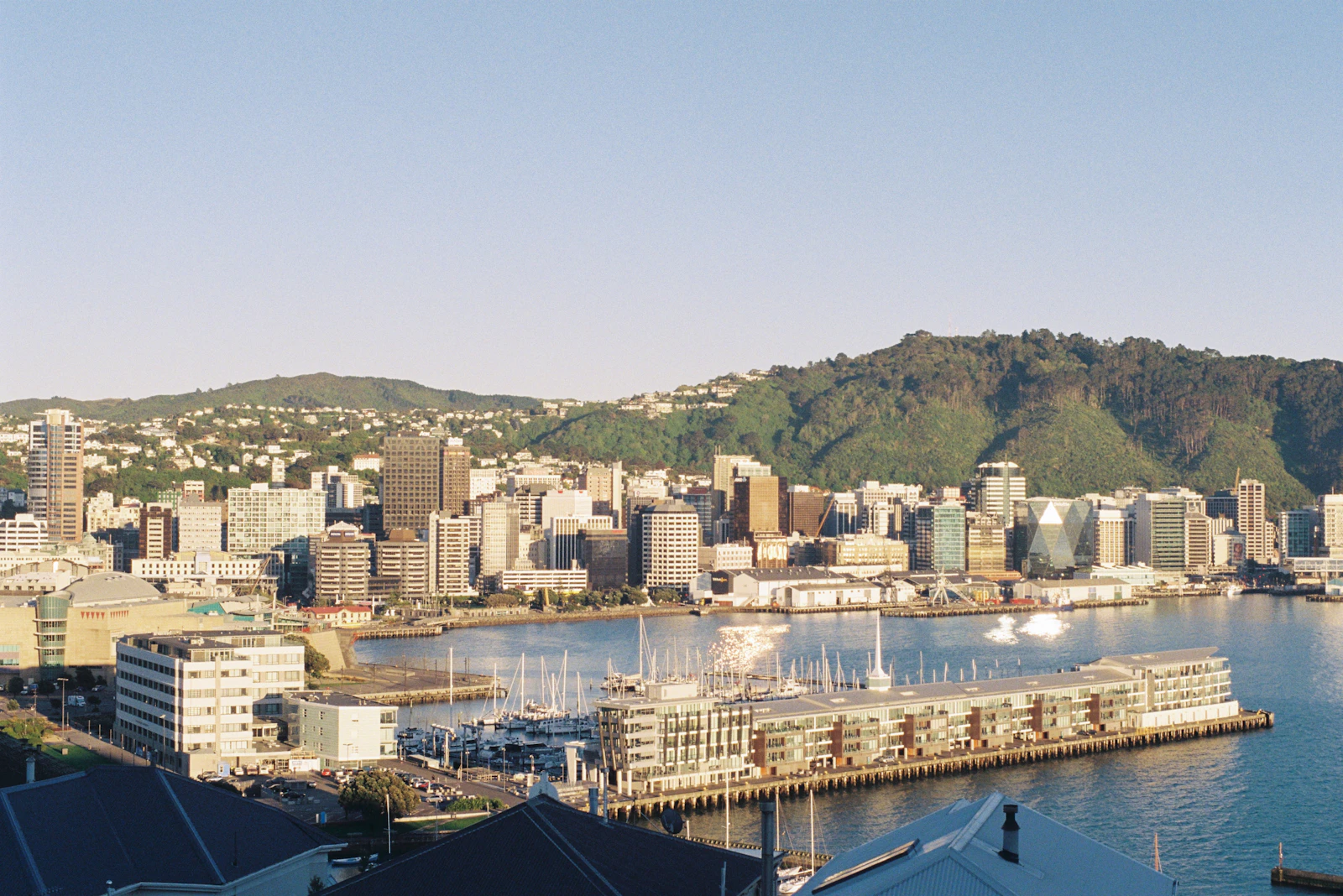 Wellington, New Zealand photo 11 by Wolf Zimmermann