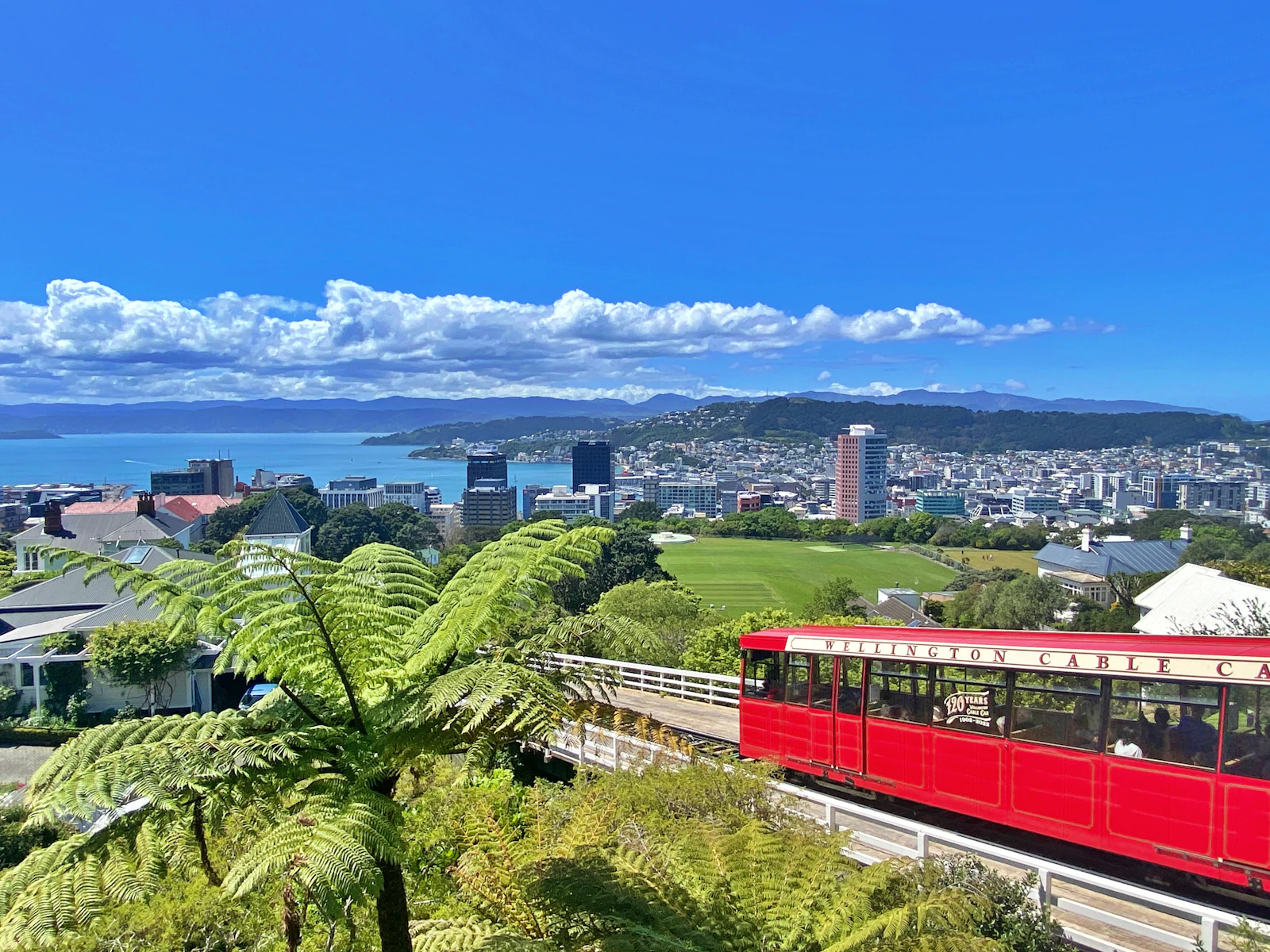 Wellington, New Zealand photo 18 by Suzi Kim