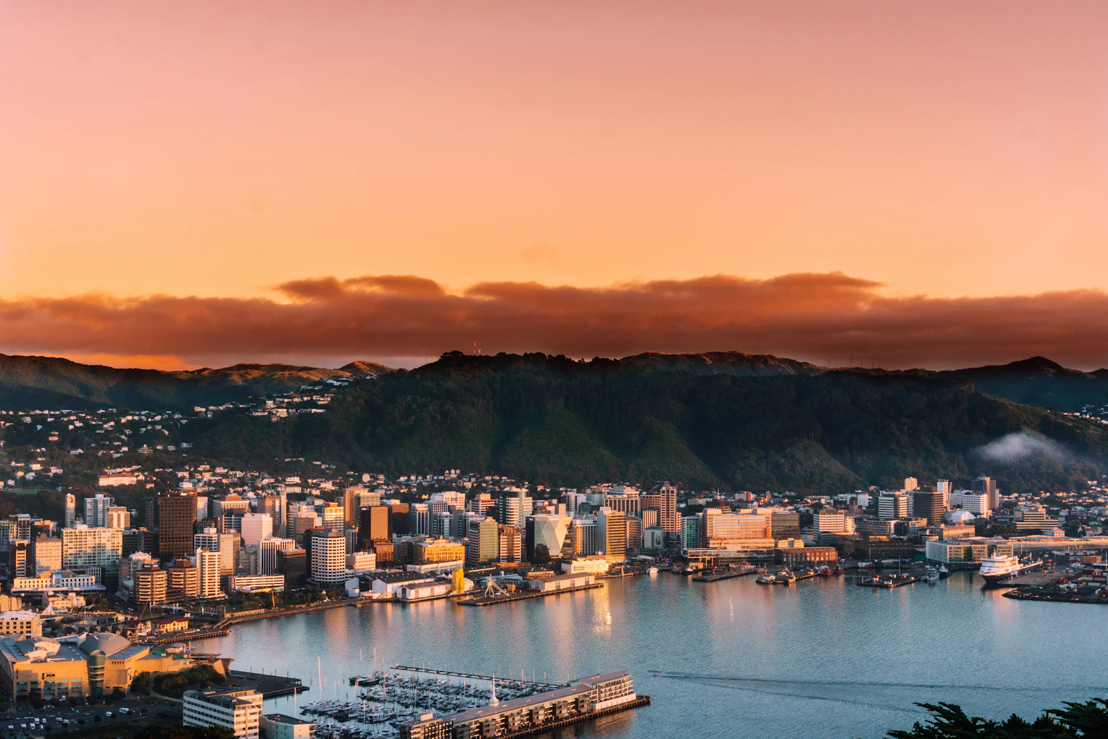 Wellington, New Zealand travel photo
