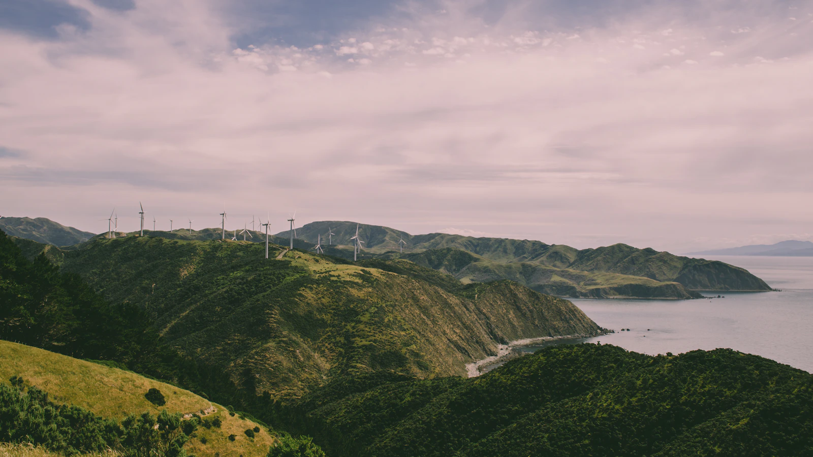 Wellington, New Zealand photo 13 by Kishan Modi