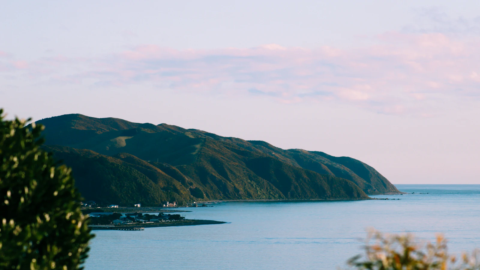 Wellington, New Zealand photo 22 by Adana Hulett