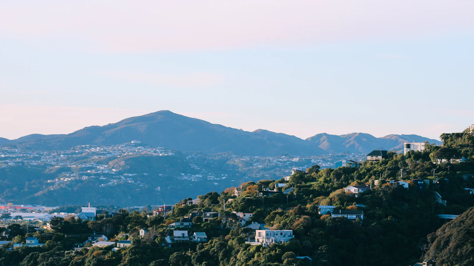 Wellington, New Zealand photo 17 by Adana Hulett
