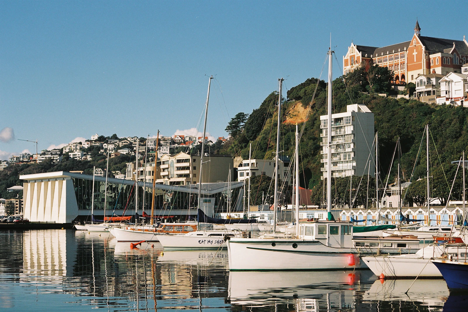Wellington, New Zealand photo 25 by Andy Bridge