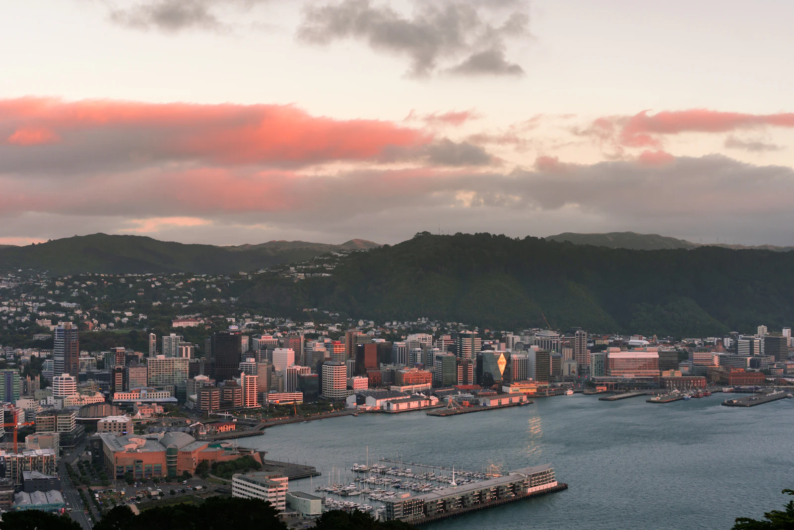 Wellington, New Zealand photo 6 by Sulthan Auliya