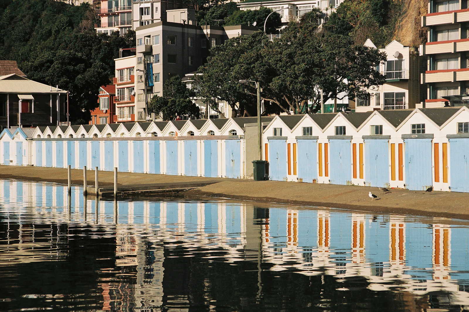 Wellington, New Zealand photo 21 by Andy Bridge