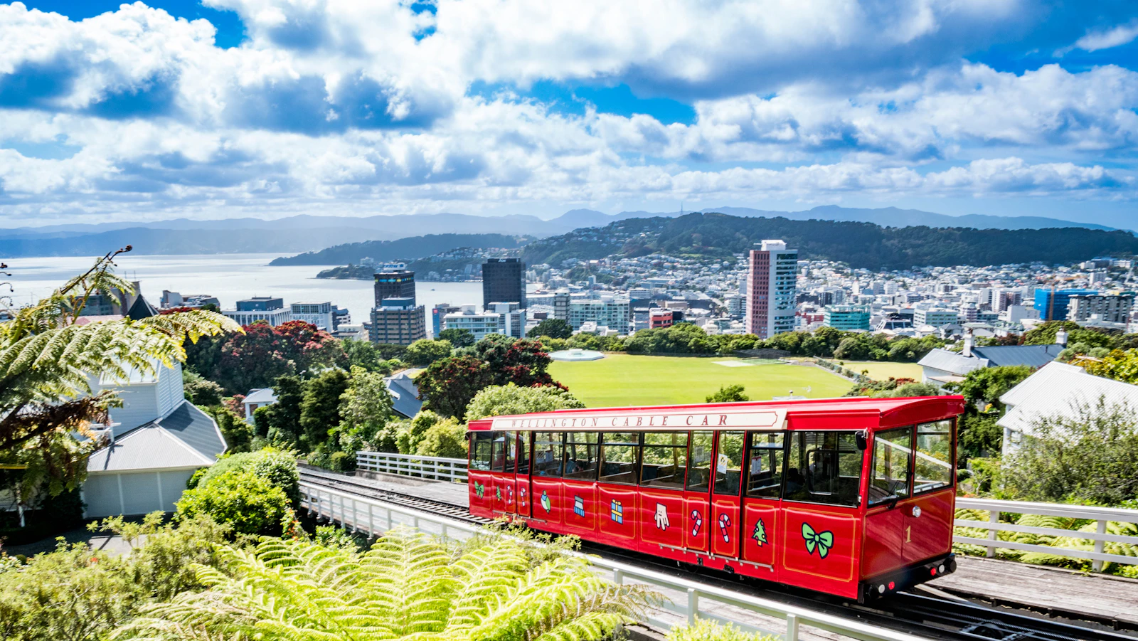 Wellington, New Zealand photo 5 by leyvaine Davids