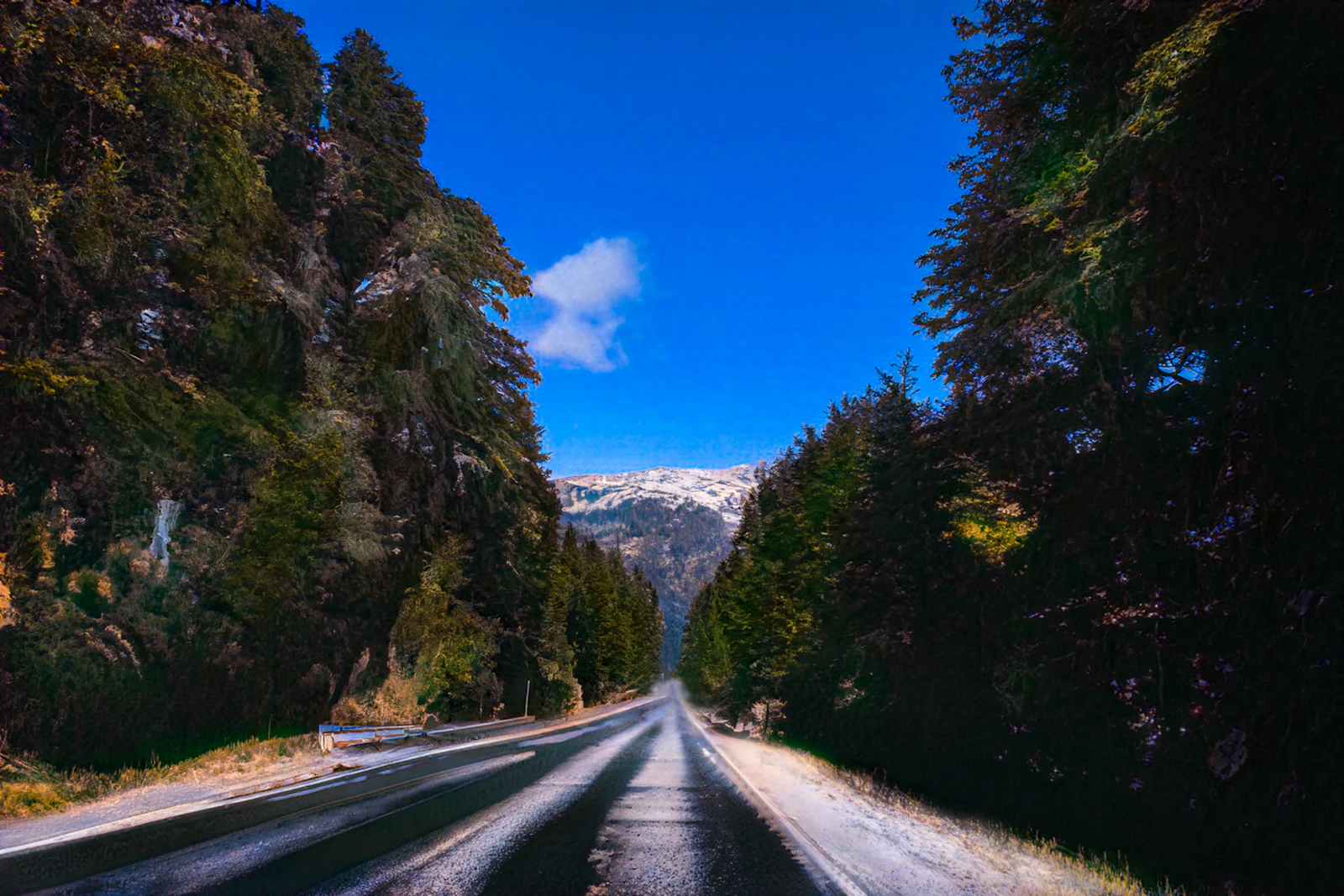 Bariloche, Argentina photo 23 by Hector Ramon Perez