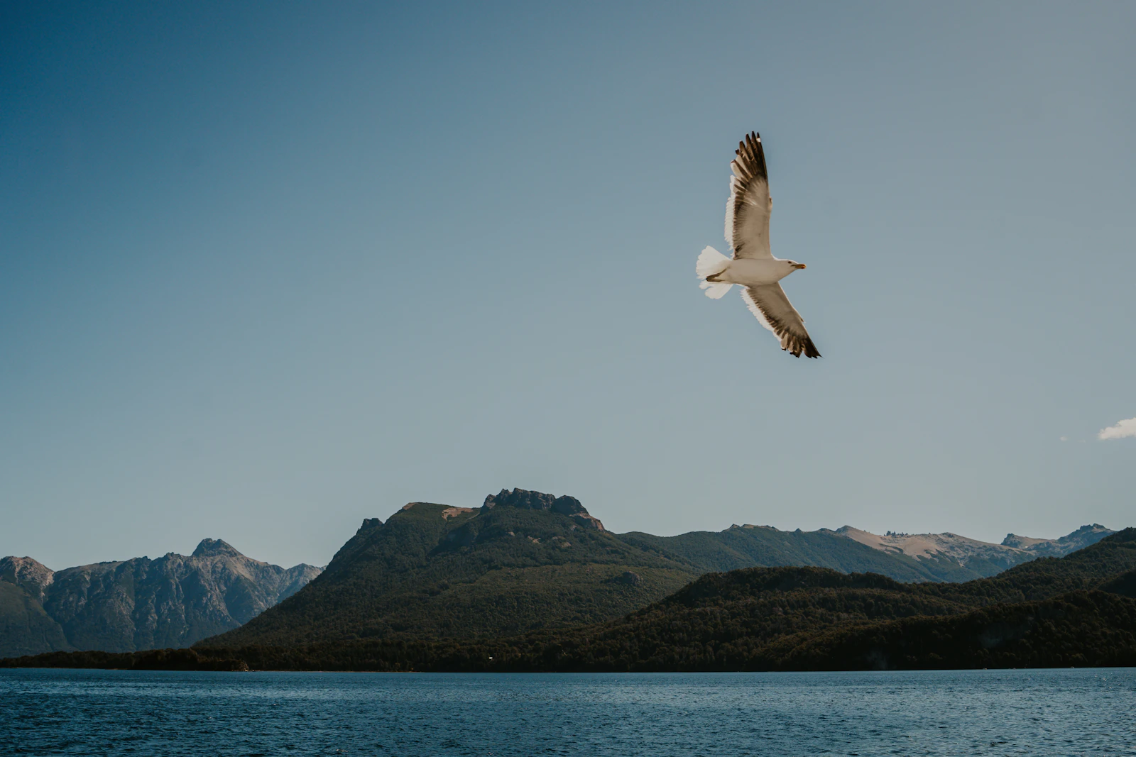 Bariloche, Argentina photo 14 by Delfina Iacub