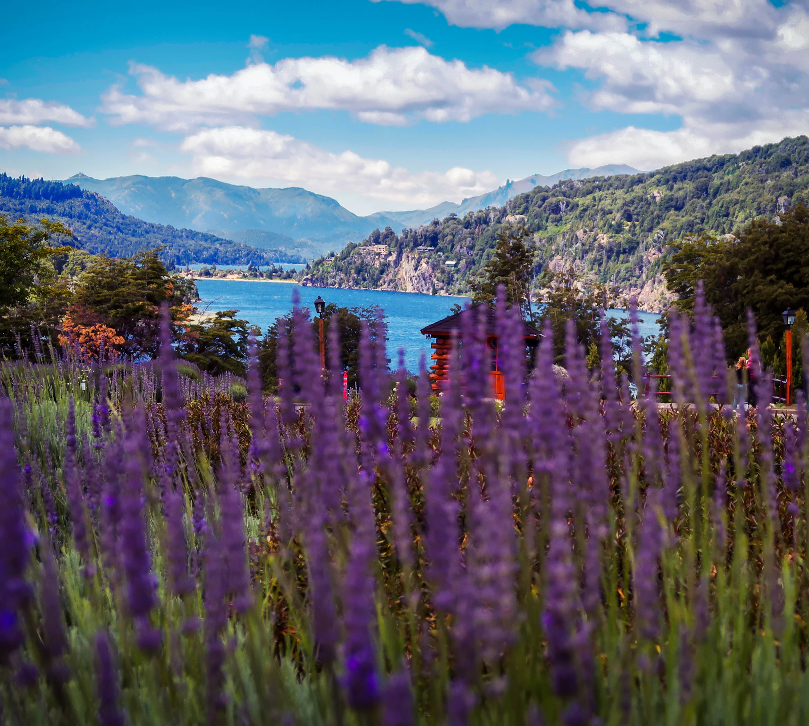 Bariloche, Argentina photo 7 by Hector Ramon Perez